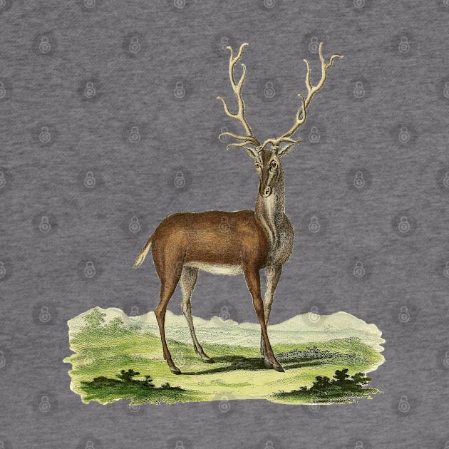 Deer Nature Illustration by Biophilia